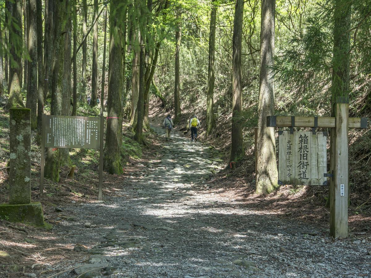 Tkp Lectore Hakone Gora Εξωτερικό φωτογραφία